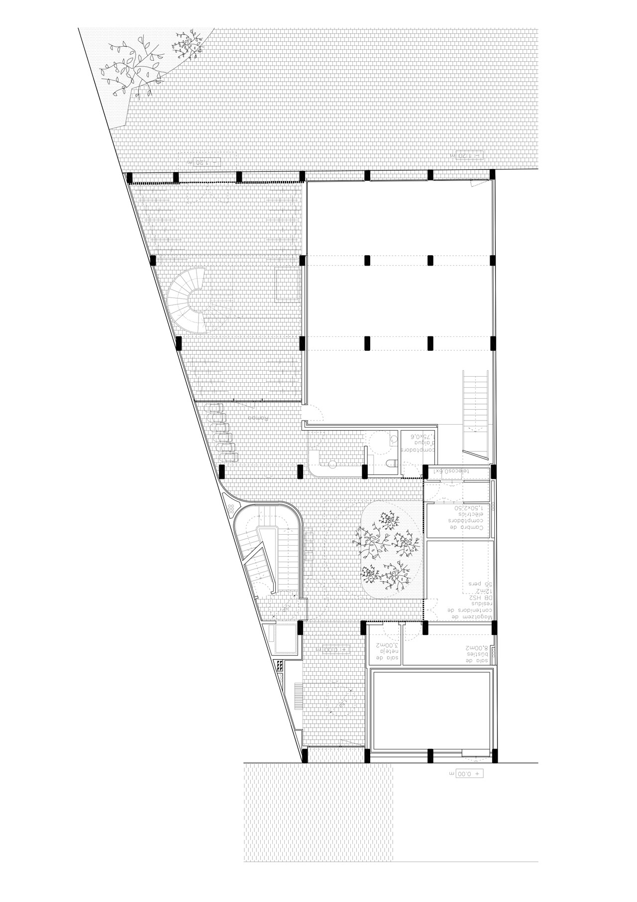Sancho de Ávila-4-2